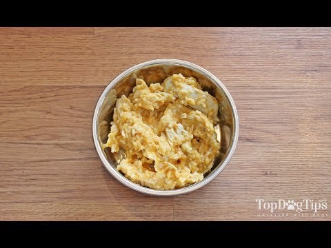 YouTube video about: How much rice to feed dog with diarrhea?