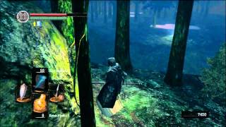 Dark Souls Playthrough: Part 61 ( Boss: Great Grey Wolf Sif vs Sorcerer + Lordvessel placement )