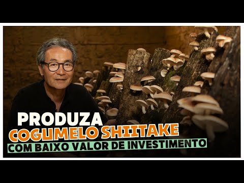 🍄 Secrets Revealed: Growing Shiitake Mushrooms on Logs to Profit from Your Rural Property!