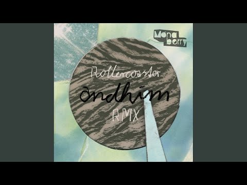 Rollercoaster (Animal Trainer Remix)