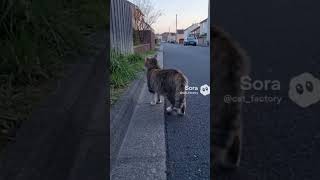 Just walking.