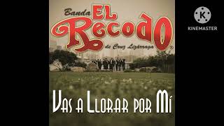 Banda El Recodo De Cruz Lizárraga - Vas A Llorar Por Mí (Audio)