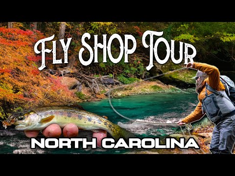 Dry Fly Fishing HEAVEN (Wild Trout) | FLY SHOP TOUR Szn 2 - Ep. 2