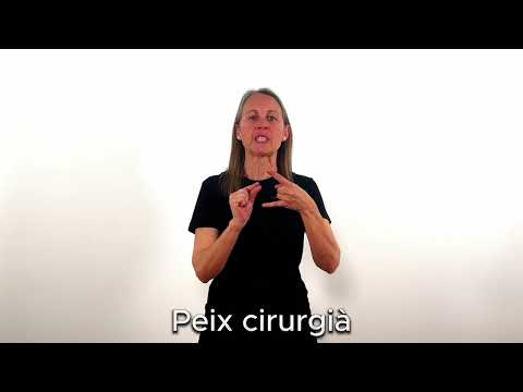 Peix cirurgià - LSC