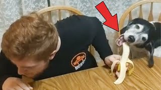 Miniature vidéo