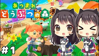 #1【あつ森】無人島生活始めました【あつまれどうぶつの森】