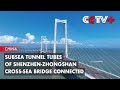 Subsea Tunnel Tubes Of Shenzhen Zhongshan Cross Sea Bridge Connected