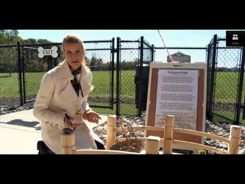 Bianca Stern Waiting at the Rainbow Bridge