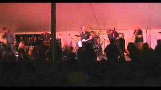 Brown Dog - Young Dubliners - 2009 Missouri River Irish Fest