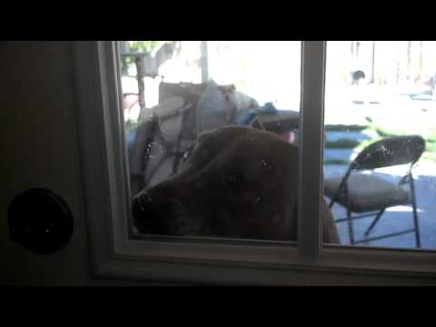 strange men make Reese do strange things.