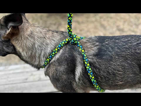 No Pulling. A Trick With a Single Piece Of Rope.