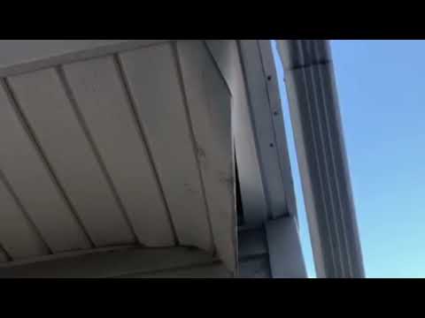 Warm Attic Attracts Raccoon in Oakhurst, NJ