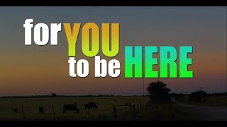 Tom Rosenthal-For You To Be Here-Unofficial Lyric Video