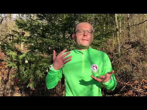 Blitzentspannung mit Autogenem Training kurz erklärt (inkl. Praxis-Erfahrung mit Boosterwirkung)