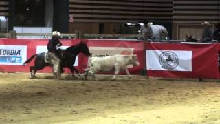 preview picture of video 'Champion d'Europe 2012 Open Bride Working Cow à EQUITA LYON 2/2'
