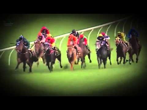 2015 All Aged Stakes