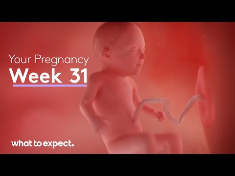 Mother-Baby developments this week (Week 31)