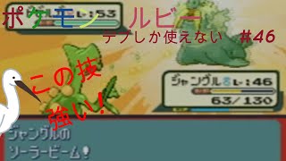 ポケモン　ルビー　デブしか使えない㊻