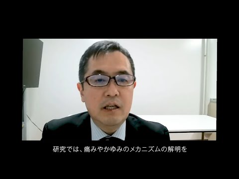 星薬科大学 - 「グリア細胞研究のトップランナーの原点は、星薬の研究室にある」