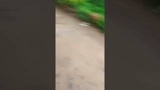 Download lagu tawuran berdarah di jalan mp3 Download lagu tawuran berdarah di jalan mp3