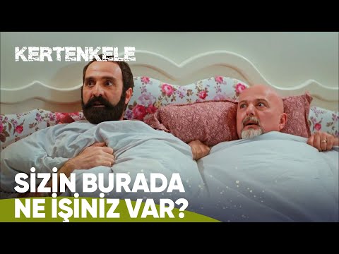 Ferruh ve Ziya basıldı! 😂 - Kertenkele 22. Bölüm