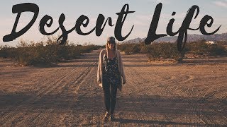 CAN'T STAY AWAY.. | VANLIFE