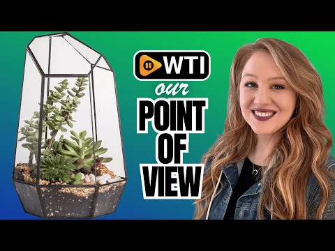 NCYP Geometric Glass Terrarium Planter for Succulent - WTI product video review