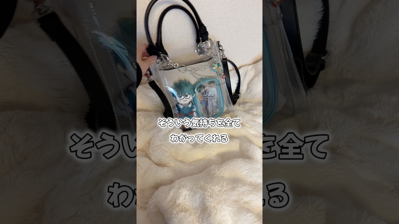 【オタ活バッグ】オタクの気持ちを完全に理解したクリアバッグが来た【ぬいバッグ】