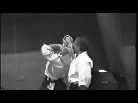 Aikido - Aikiken - Chiba Sensei, 1994