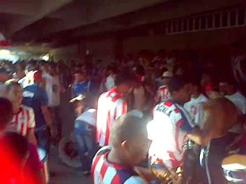 "LA BANDA DEL TIBURON 2014 LBK-FRBS-BC" Barra: Frente Rojiblanco Sur • Club: Junior de Barranquilla • País: Colombia
