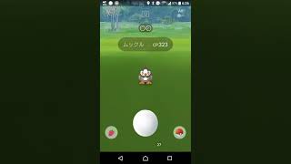 ムックル ポケットモンスター アイアント メグロコ フシギソウ