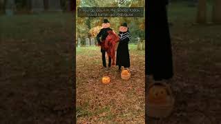 Jack-o&#39;-lantern Picnic 🎃 #shorts