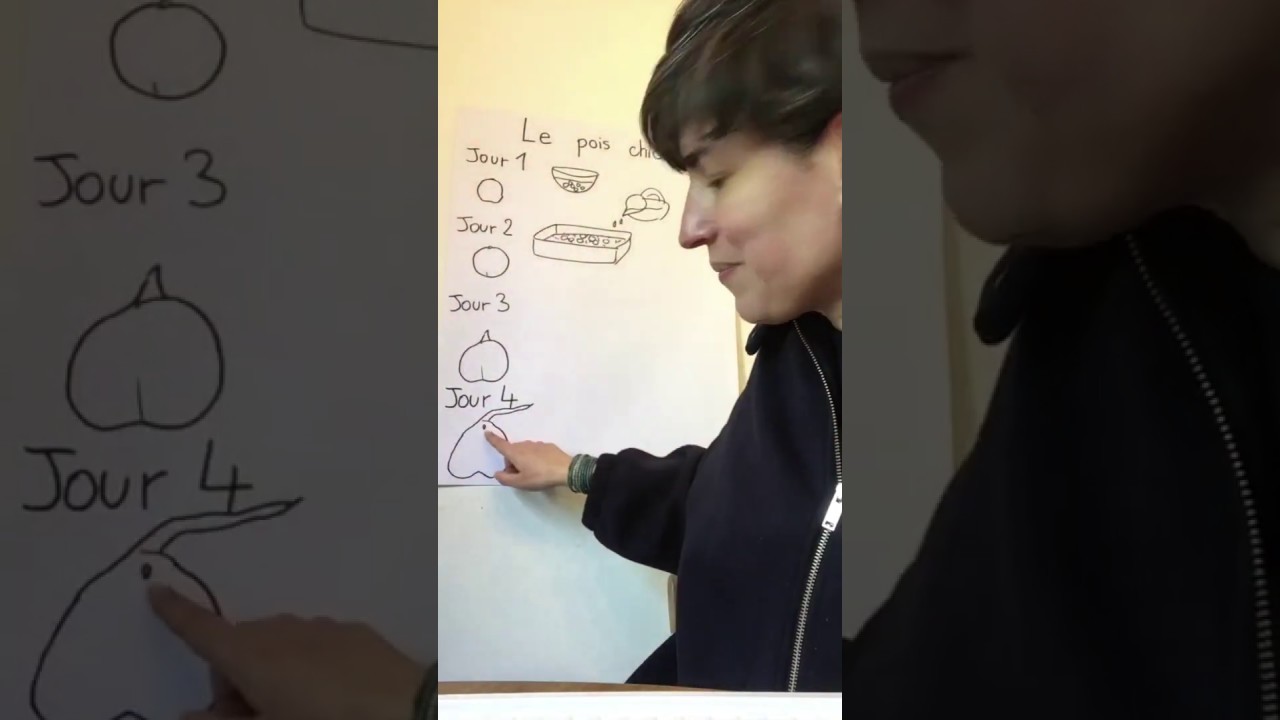 La germination des graines 4. Découverte du monde. PS. Confinement. 26 avril 2020.