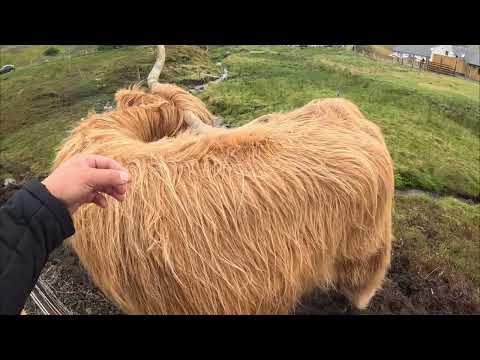 Fairy Pools II NC500 II Day 6 II Part 2 II in Scotland