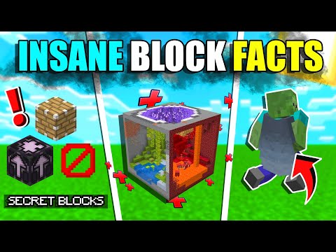 Minecraft block facts | minecraft block facts in hindi