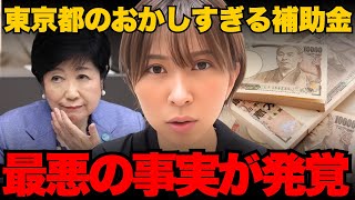 【さとうさおり】東京都のおかしな補助金を暴露【都議会/小池百合子小池都知事】