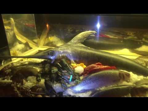 Gerling Quartier Köln