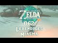 The Legend of Zelda: Tears of the Kingdom [062] - Lebendiges Miasma