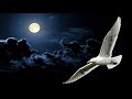 💎NEIL DIAMOND ~ JONATHAN LIVINGSTON SEAGULL MEDLEY 1977 [LIVE]