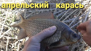 Отчеты о рыбалке 2020 поплавочная удочка