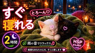 【睡眠導入】HSPのための聖域。子猫と雨の夜 2時間