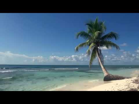 Relaxing 3 Hour Video of A Tropical Beach with Blue Sky White Sand and Palm Tree
