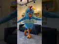 Galinha Pintadinha Short