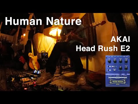 Yoshitake EXPE ’s EFX Pedalboard: AKAI Head Rush E2 Looper Pedal (Human Nature)
