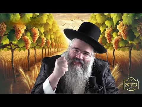 ברכת המזון ברענגט אלע השפעות טובות R' Avrum Mordche Malach ר' אברהם מרדכי מלאך