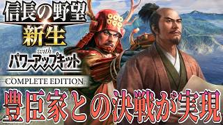 【信長の野望・新生PK】いよいよ豊臣秀次との決戦に挑む！【池田輝政：天下無事ならず超級プレイ】 #11