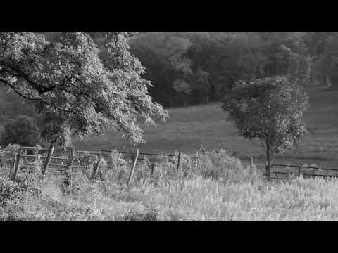 Blaga Videc   Vcera pojdo mila mamo