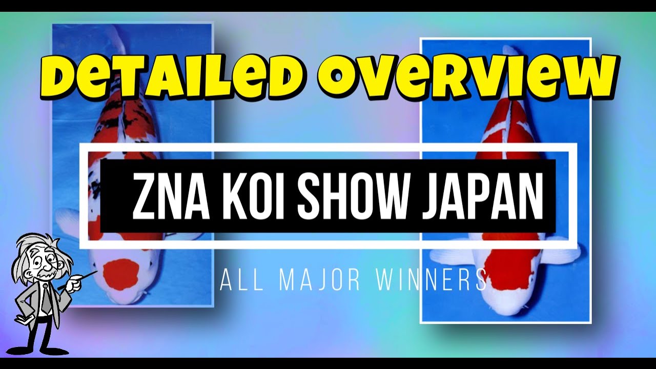 The Ultimate Guide to the Zen Nippon Airinkai (ZNA) Koi Show Winners