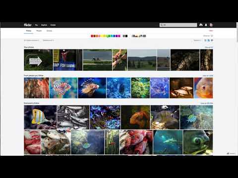 Video