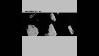 Synapscape - Raw [full album] [320 kbps]